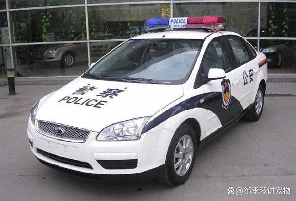 派出所警车维修情况报告解读：保障公共安全，提升警务效能